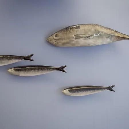 43 House Azores 民宿 蓬塔德尔加达